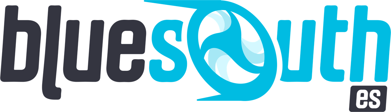 Logo BlueSouth